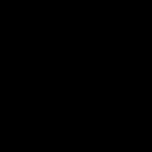 Meet your Posher, Jade